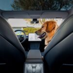 تيسلا-موديل-3-المربع-نت-13