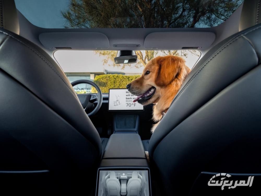 تيسلا-موديل-3-المربع-نت-13