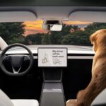 تيسلا-موديل-3-المربع-نت-40