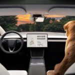 تيسلا-موديل-3-المربع-نت-45