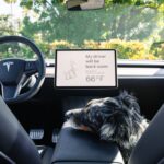 تيسلا-موديل-y-المربع-نت-15