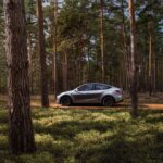 تيسلا-موديل-y-المربع-نت-5