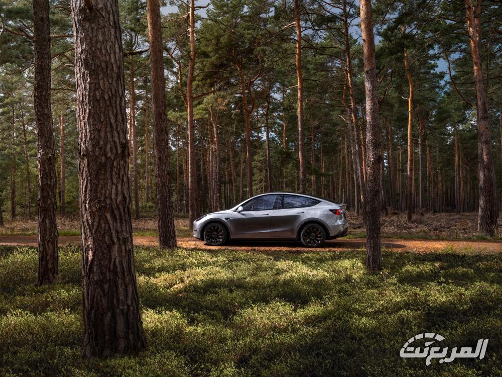 تيسلا-موديل-y-المربع-نت-5