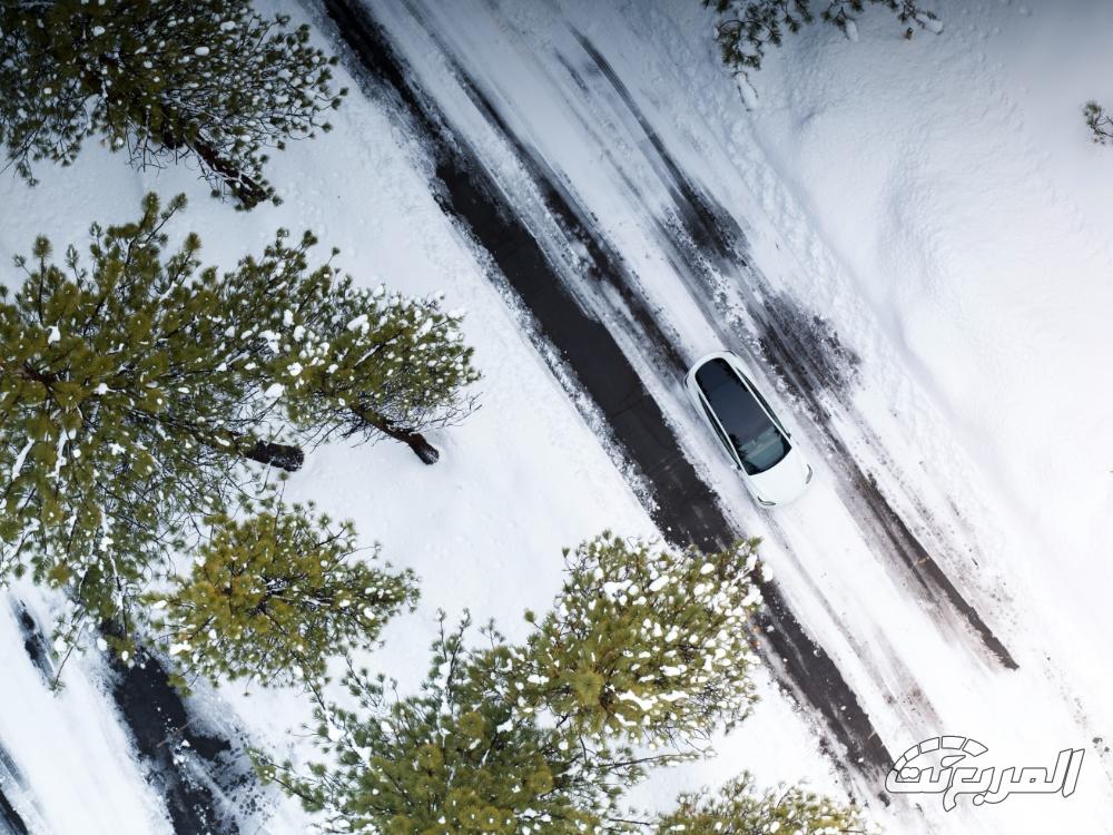 تيسلا-موديل-y-المربع-نت-8