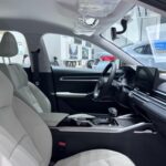 جيلي-امجراند-المربع-نت-20-3