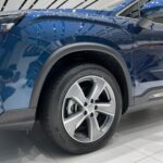 جيلي-اوكافانجو-المربع-نت-10-2