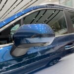 جيلي-اوكافانجو-المربع-نت-9-2