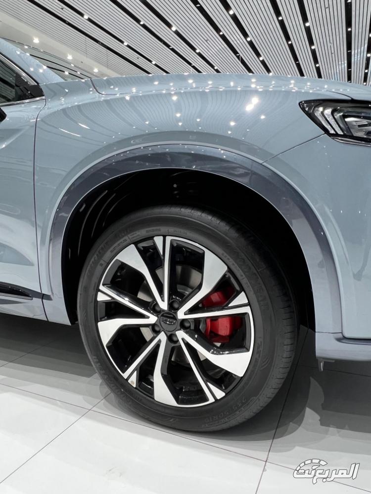 جيلي-توجيلا-المربع-نت-10-5