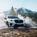 سوبارو-فورستر-المربع-نت-35