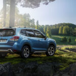 سوبارو-فورستر-المربع-نت-36