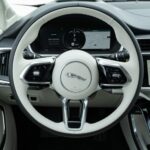 جاكوار-i-pace-2024-35