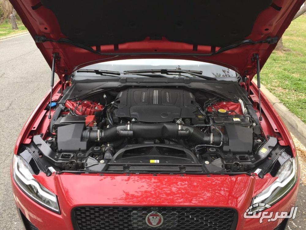 جاكوار-xf-المربع-نت-4