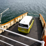 id-buzz-المربع-نت-24