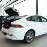 بي-واي-دي-تشين-بلس-المربع-نت-10-4