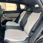 بي-واي-دي-سونج-بلس-المربع-نت-13-3