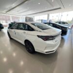 دونج-فينج-شاين-ماكس-المربع-نت-25-2