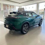 دونج-فينج-ميج-المربع-نت-19