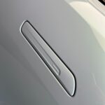 لوتس-ايميا-المربع-نت-25-2