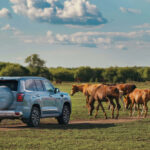 بايك-bj60-المربع-نت-7-2