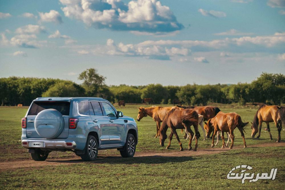 بايك-bj60-المربع-نت-7-2