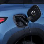 بي-واي-دي-سي-ليون-7-المربع-نت-12-2