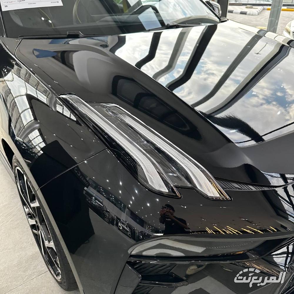 صور لينك آند كو 03+ 2025 38