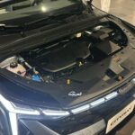 جيلي-سيتي-راي-المربع-نت-2-3