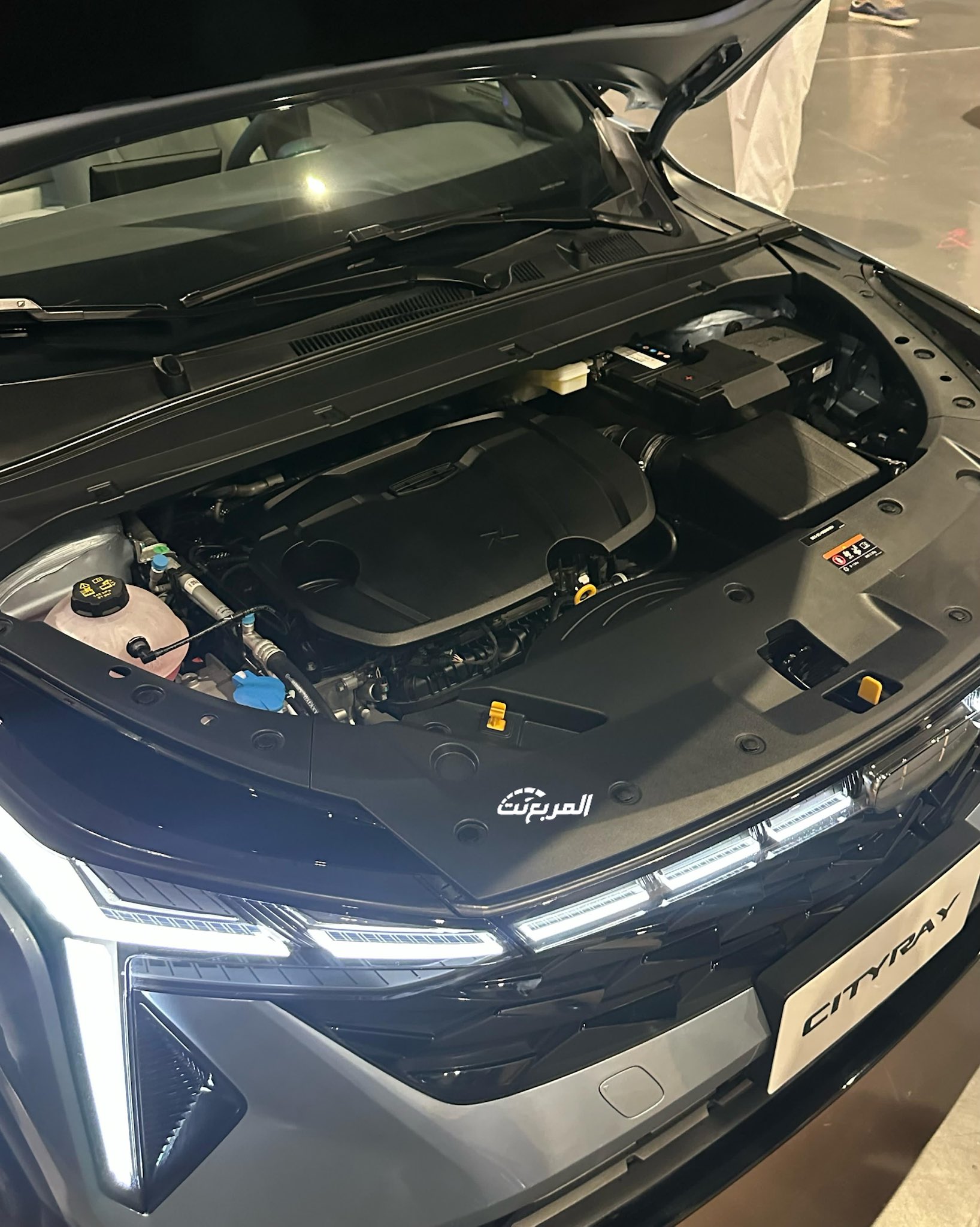 جيلي-سيتي-راي-المربع-نت-2-3