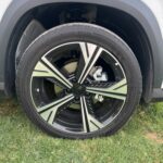 جيلي-سيتي-راي-المربع-نت-24