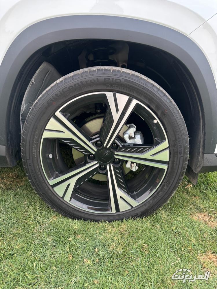 جيلي-سيتي-راي-المربع-نت-24