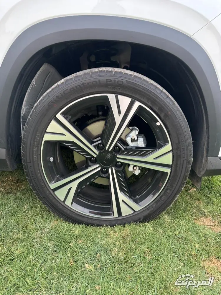 جيلي-سيتي-راي-المربع-نت-24