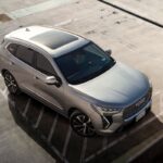 هافال-جوليان-المربع-نت-20-6