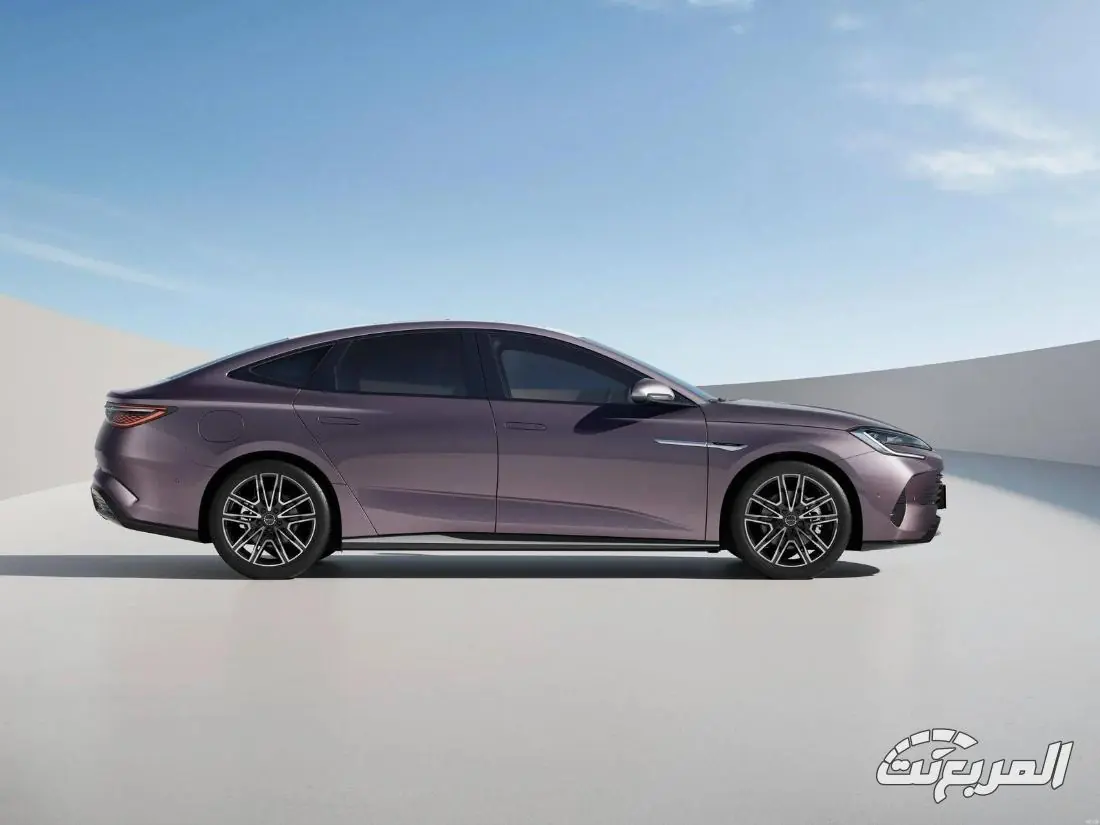 بي واي دي سيل 7 31