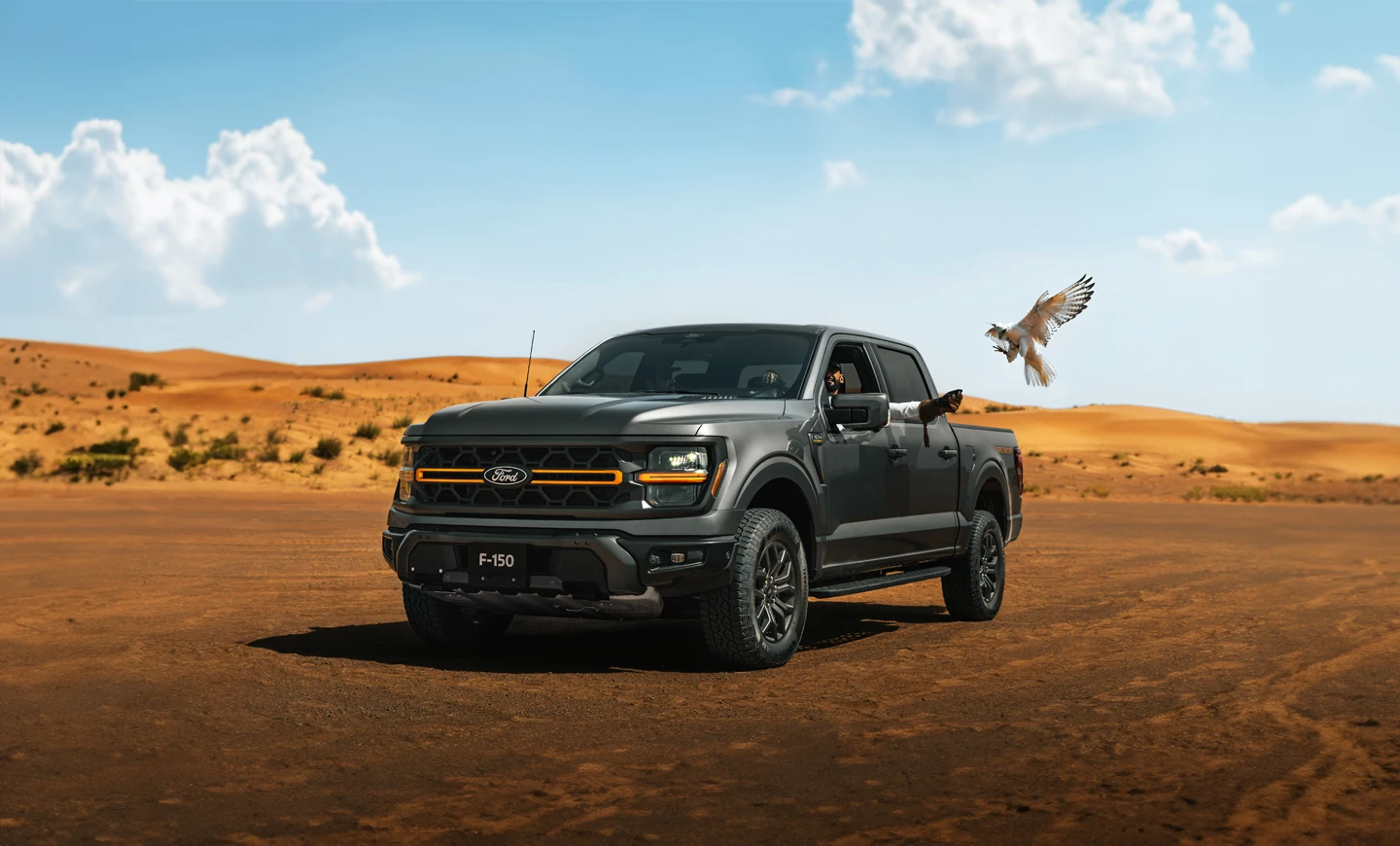 صور فورد F-150 موديل 2025 بجودة عالية مع ألوان البيك أب الأمريكية لدى وكيلها صور فورد F-150 موديل 2025 بجودة عالية مع ألوان البيك أب الأمريكية لدى وكيلها 46