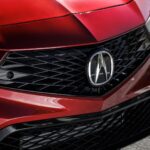 اكيورا-انتجيرا-2025-المربع-نت-23