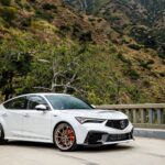 اكيورا-انتجيرا-2025-المربع-نت-48