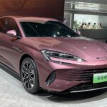 بي-واي-دي-سيل-7-المربع-نت-1