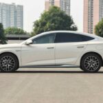 بي-واي-دي-سيل-7-المربع-نت-18