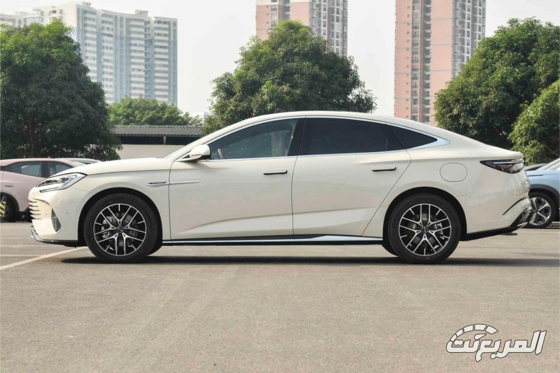 بي-واي-دي-سيل-7-المربع-نت-18