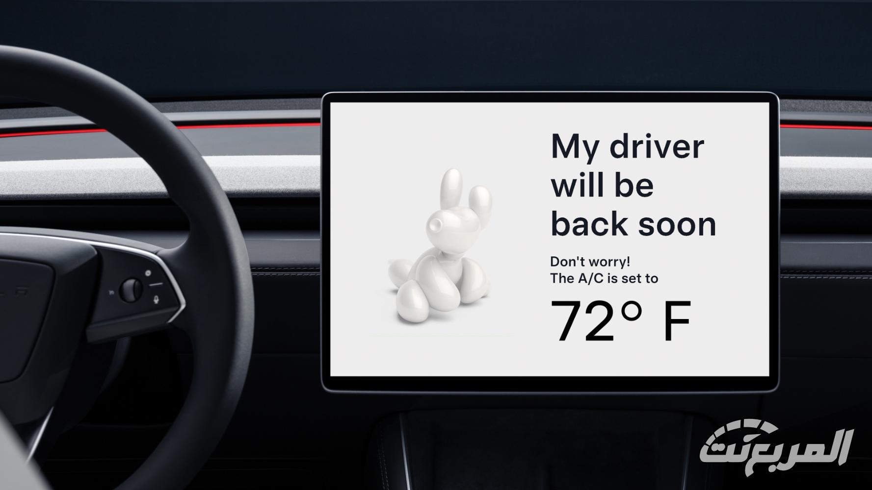 تيسلا-موديل-y-المربع-نت-33-3