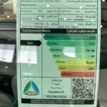 جيلي-امجراند-المربع-نت-21-2