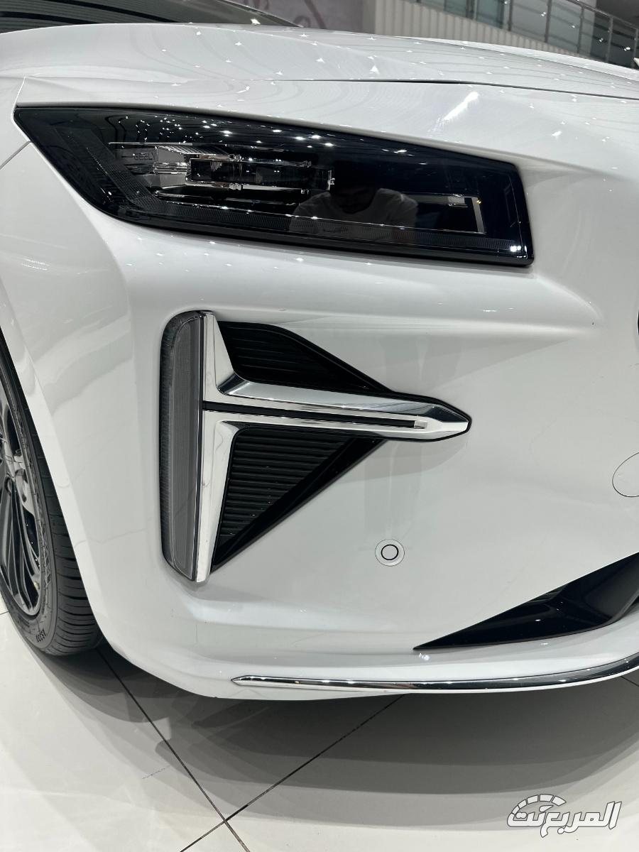 جيلي-بريفيس-المربع-نت-15-3