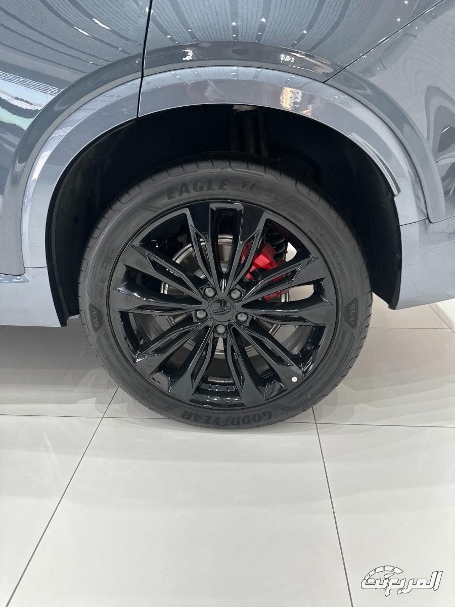 جيلي-توجيلا-المربع-نت-20-3