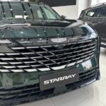 جيلي-ستارراي-المربع-نت-14-2