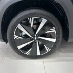 جيلي-ستارراي-المربع-نت-16-2