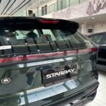 جيلي-ستارراي-المربع-نت-19-2