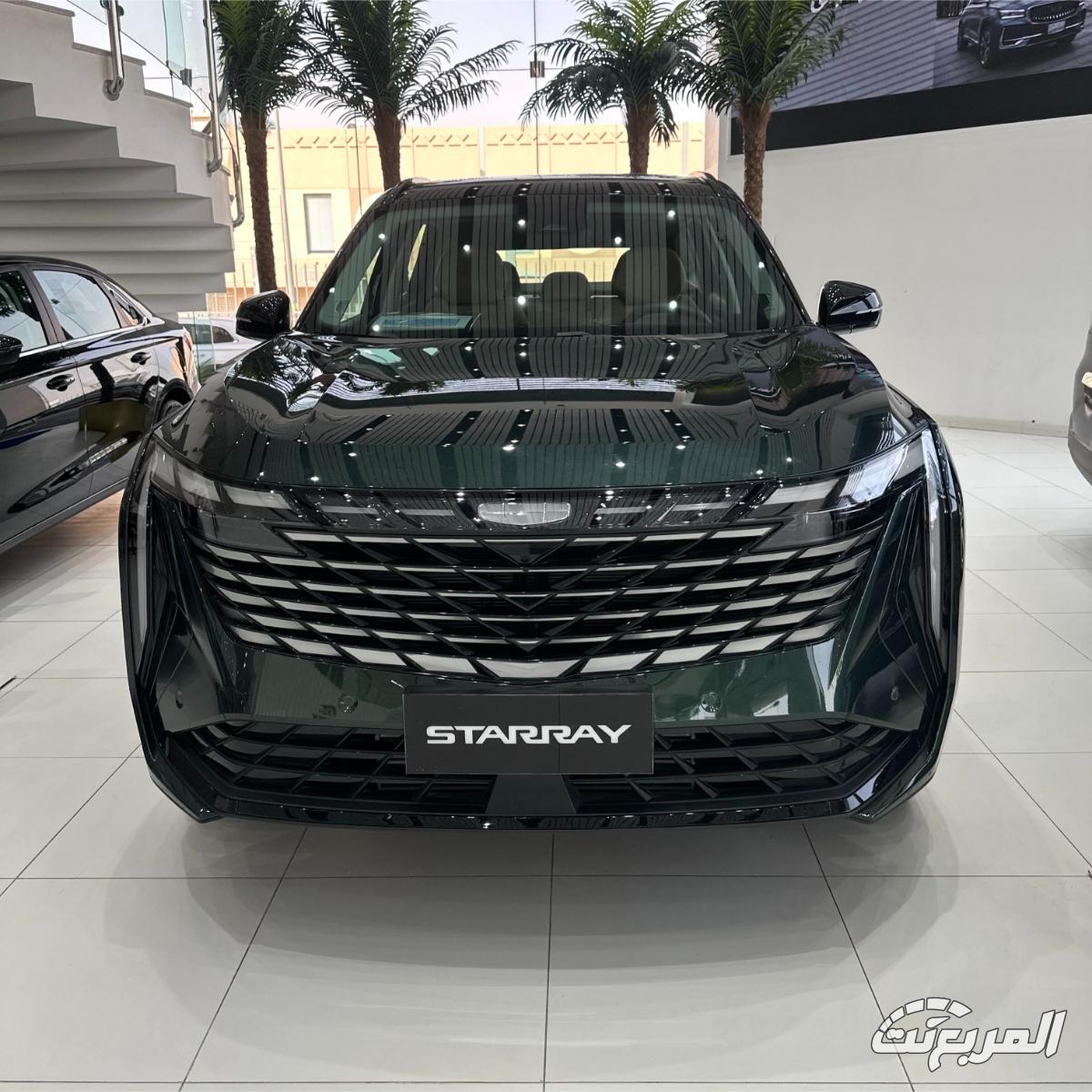 جيلي-ستارراي-المربع-نت-2-3