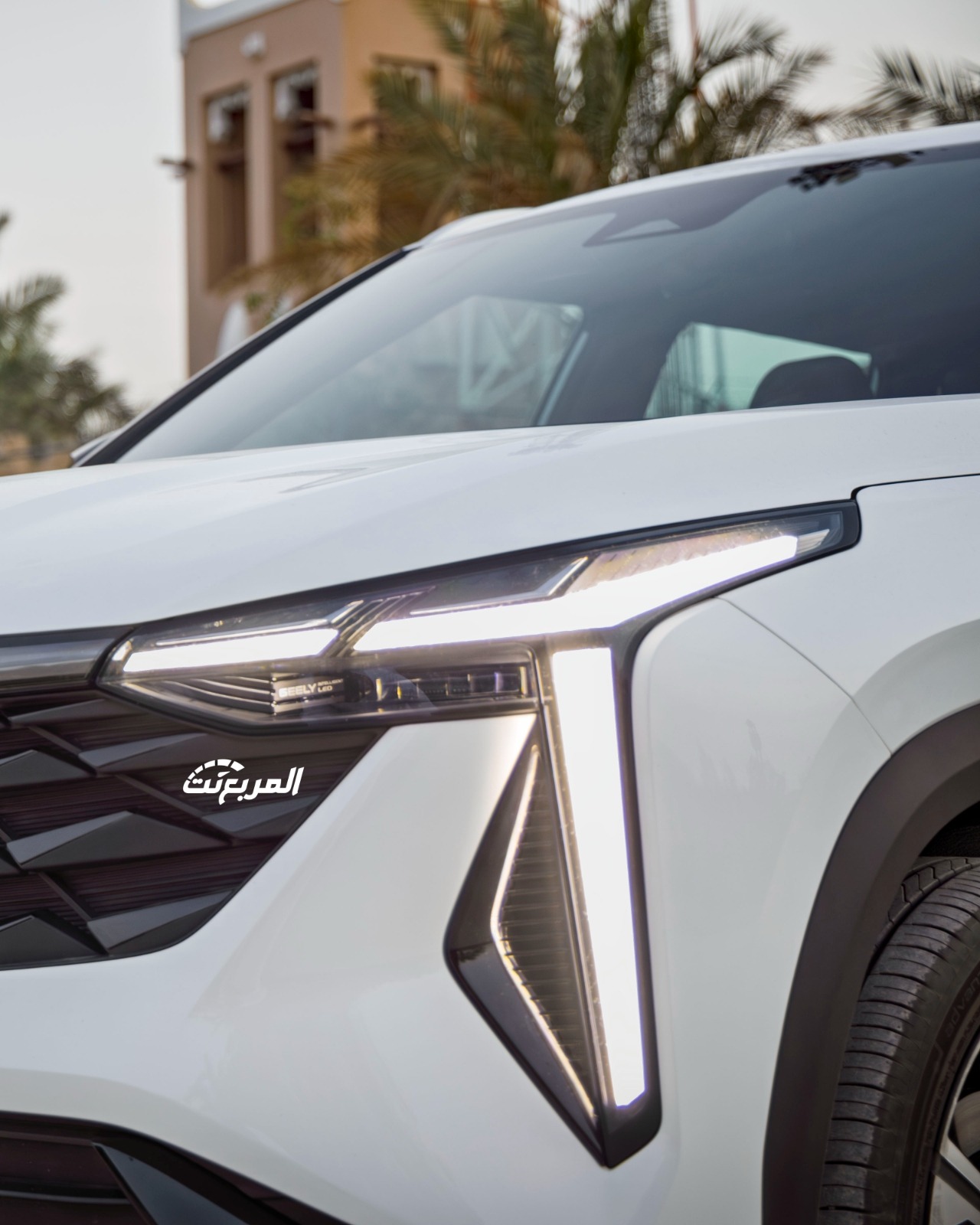 جيلي-سيتي-راي-المربع-نت-19-2