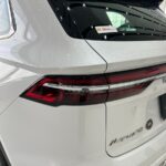 جيلي-مونجارو-المربع-نت-19