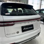 جيلي-مونجارو-المربع-نت-20